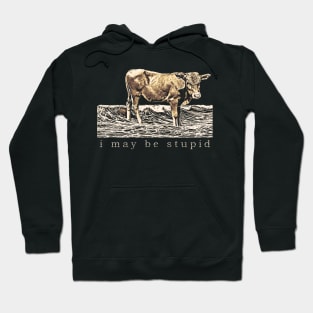 I May Be Stupid Hoodie